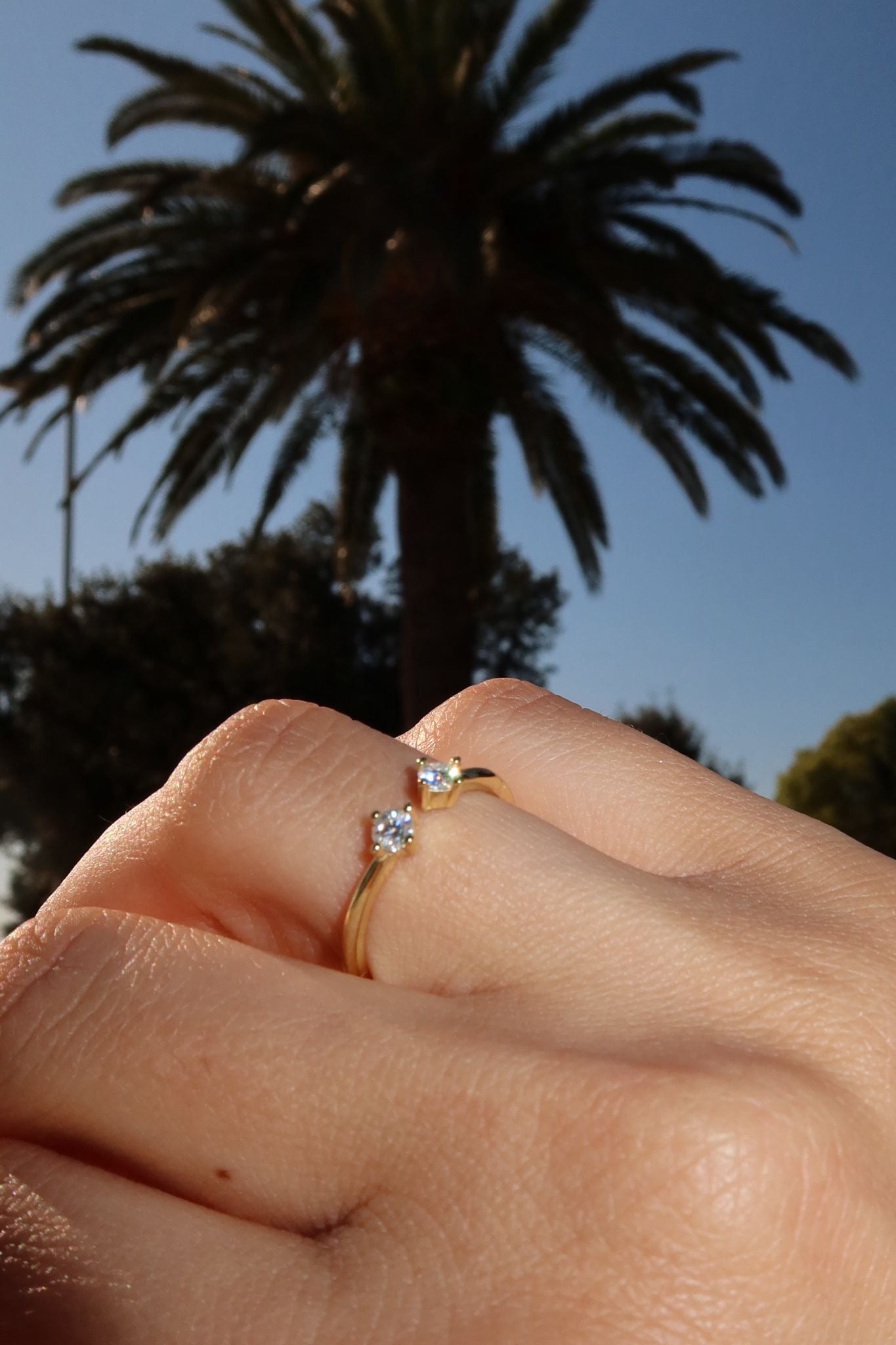 Twin ring