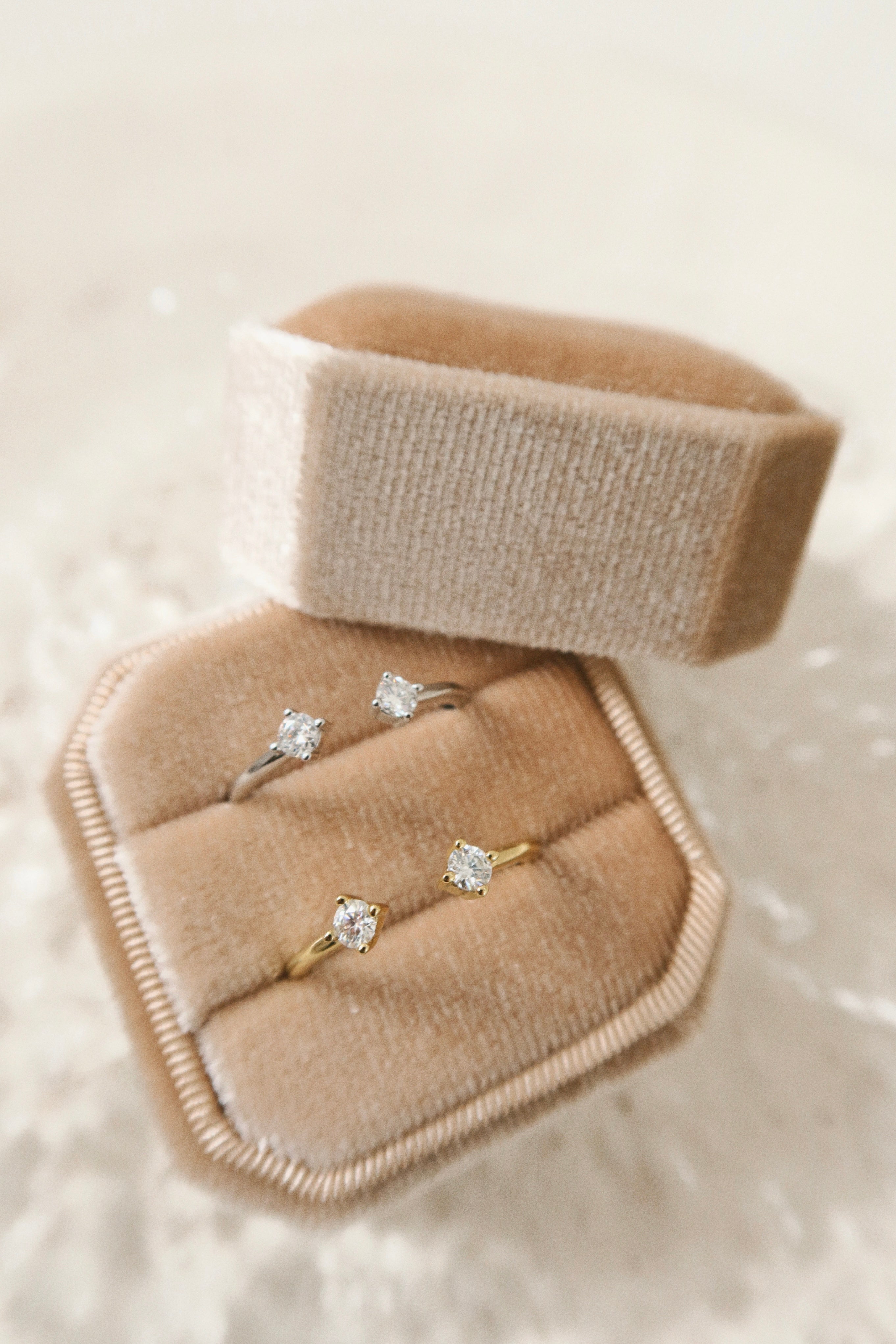 Twin ring