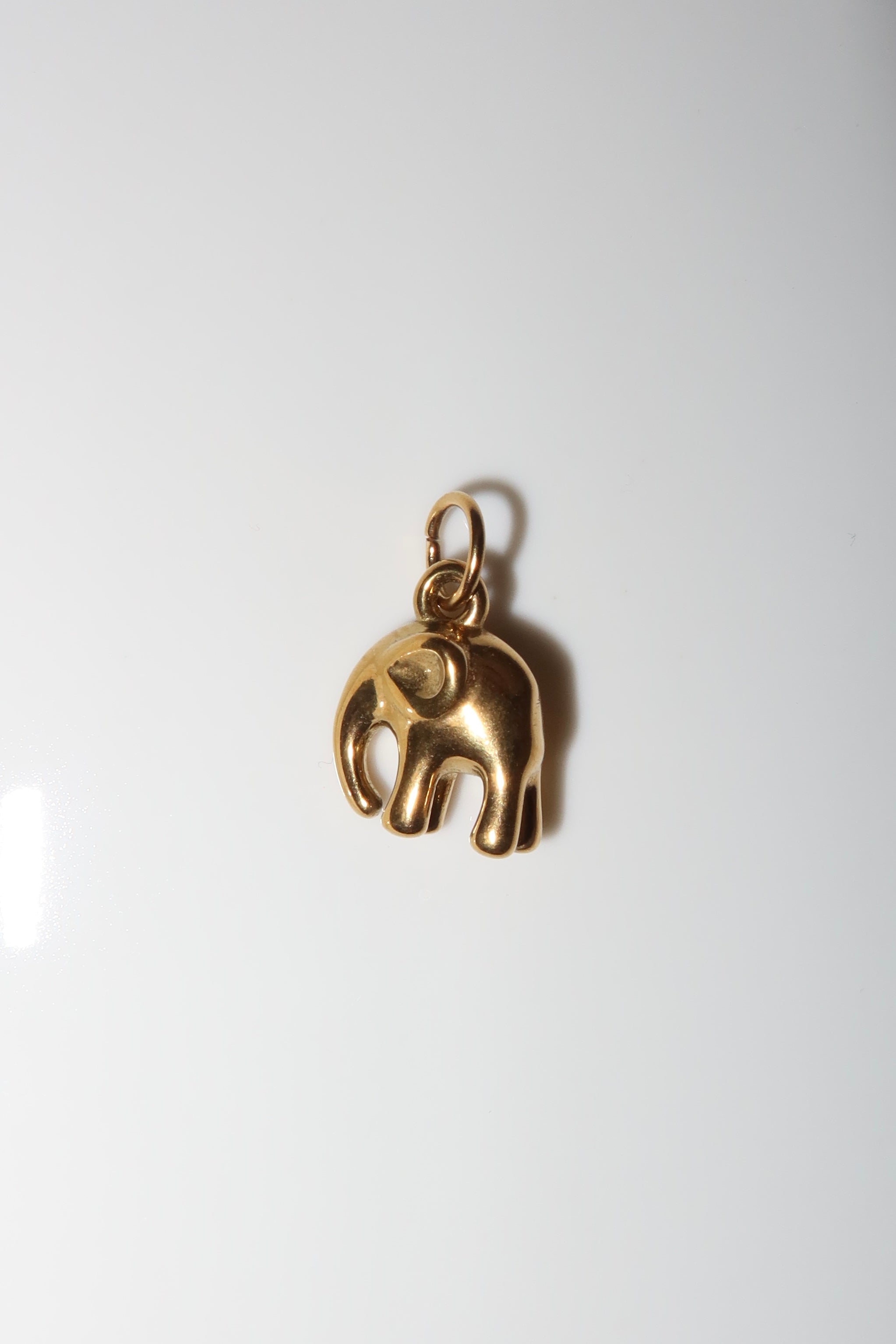 Elephant charm